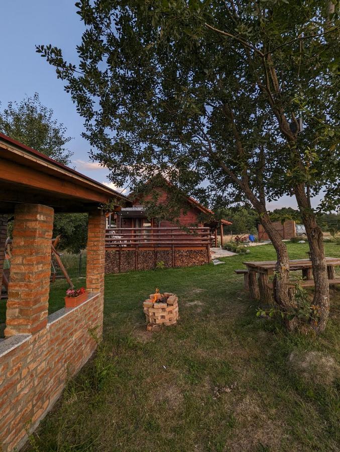 Cabana Nyiko Cu Ciubar Βίλα Lupeni  Εξωτερικό φωτογραφία